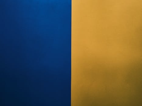 Jak Získat Vízum do Ruska pro Grafické Designéry